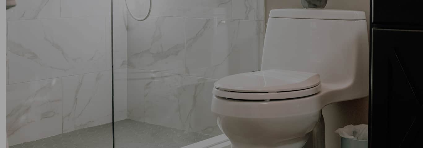 Nowoczesna łazienka z prysznicem, toaletą i rośliną w doniczce