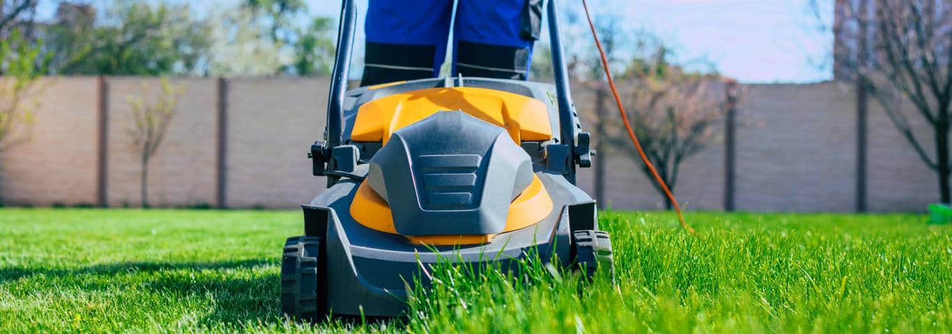 zbliżenie na ogrodnika koszącego trawę kosiarką spalinową