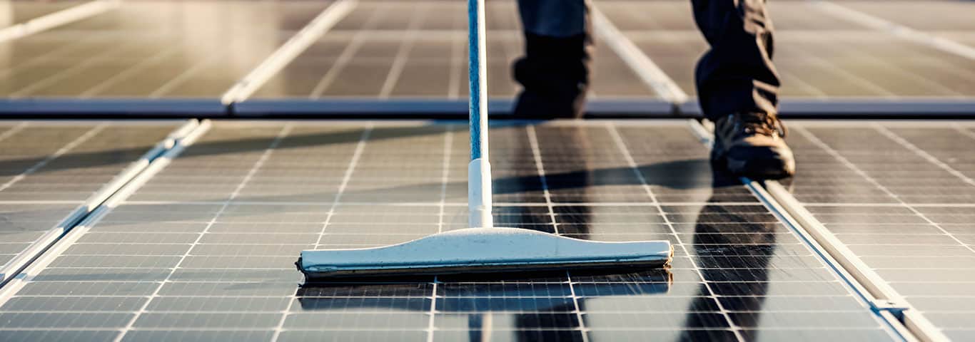 specjalista myje panele fotowoltaiczne szczotką myjącą na kiju