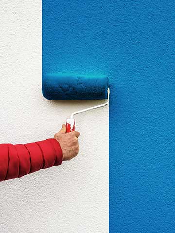 Jaki wałek do malowania ścian i sufitów wybrać?