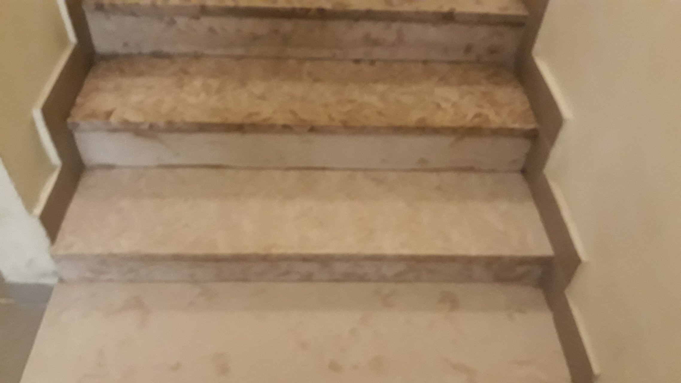Załącznik do opinii