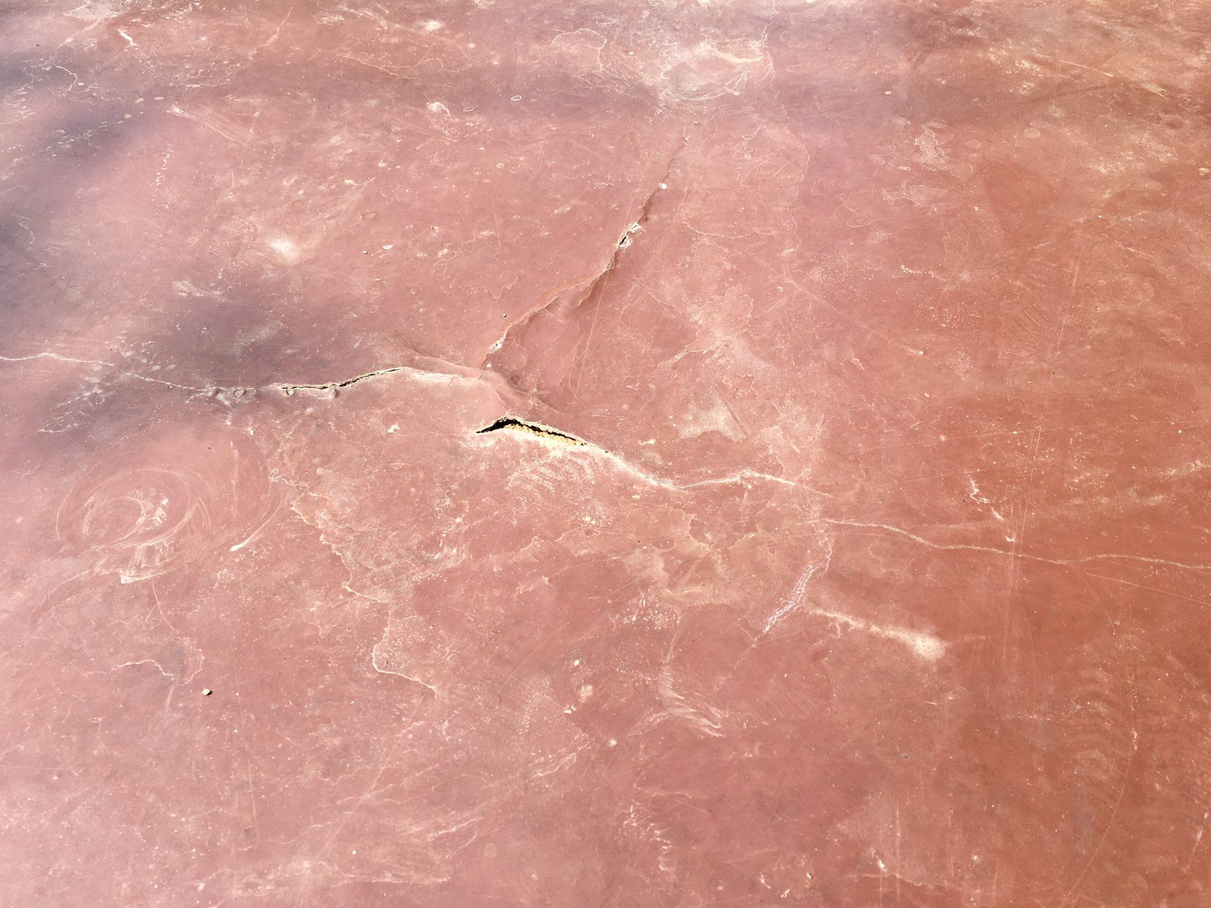 Załącznik do opinii