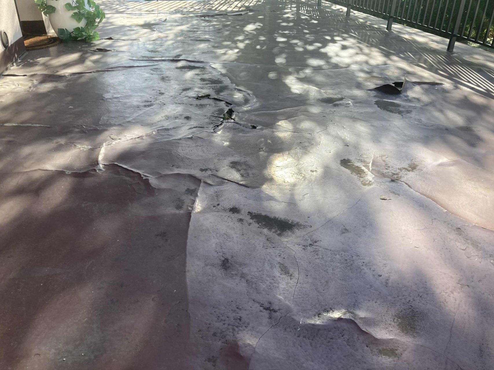 Załącznik do opinii