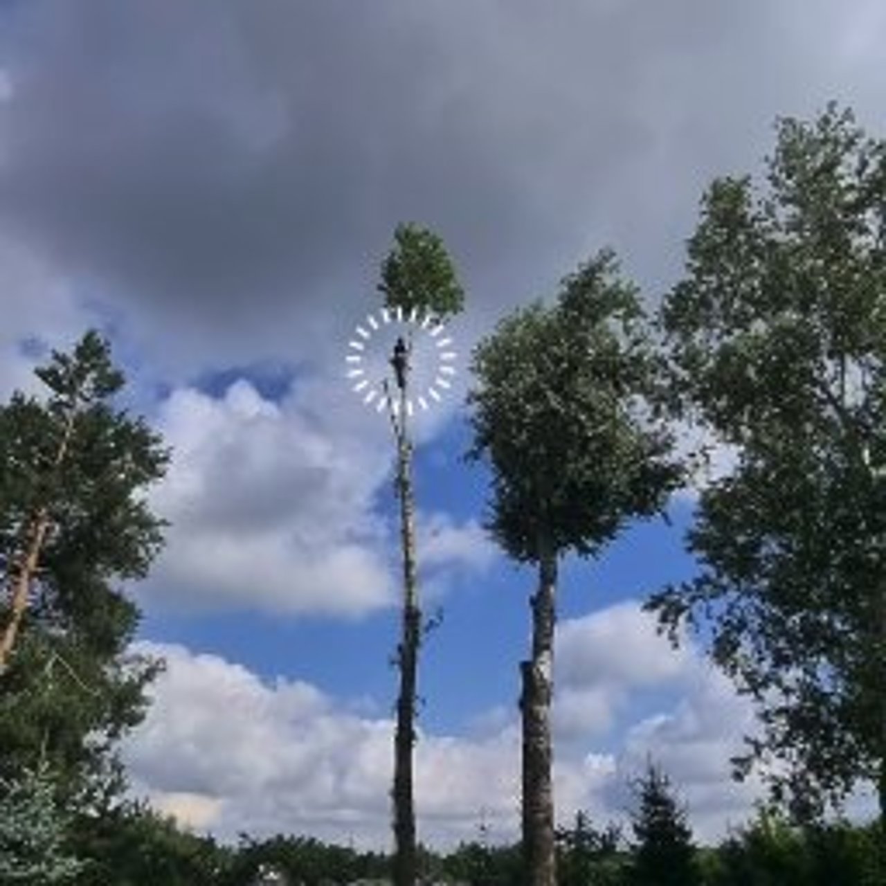Załącznik do opinii