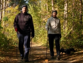 Zajęcia Nordic Walking z instruktorem dla 15 os. ok. 2,5h