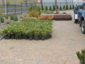 Zakładanie ogrodów