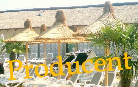 PARASOL PLAŻOWY NA PLAŻĘ DO OGRODU