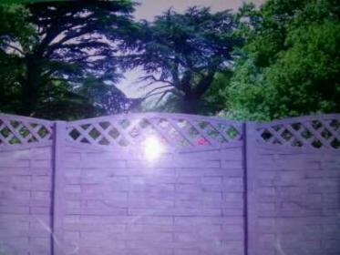 Płoty betonowe Łask Kolumna, ogrodzenia betonowe, wiaty i garaże z płyt betonowych