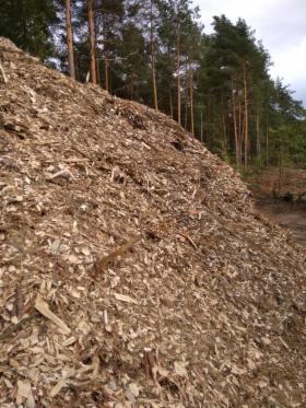 Zrębki leśne duże ilości ciągła sprzedaż