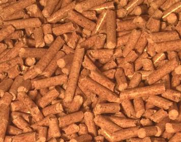 Pellet drzewny Din Plus Gold