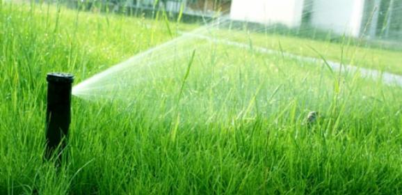 Systemy nawadniania ogrodu