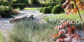 projektowanie zakładanie pielęgnacja ogrodów