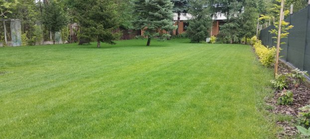 Zakładanie trawnika z siewu