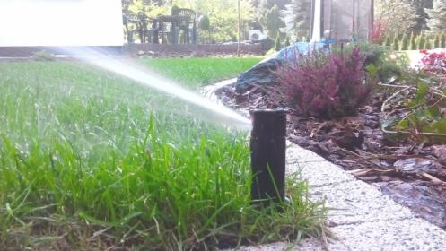 Zakładanie ogrodów od A do Z Systemy drenażowe