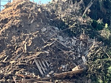 Przyjmujemy biomasę: krzewy, gałęzie../ można przywieźć samemu