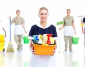 Sprzątanie budynków wielorodzinnych i terenów zielonych