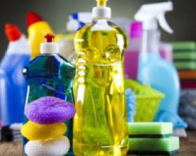 Sprzątanie lokali mieszkalnych i terenów zielonych