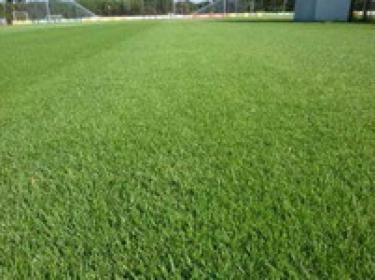 Trawa z rolki - układanie