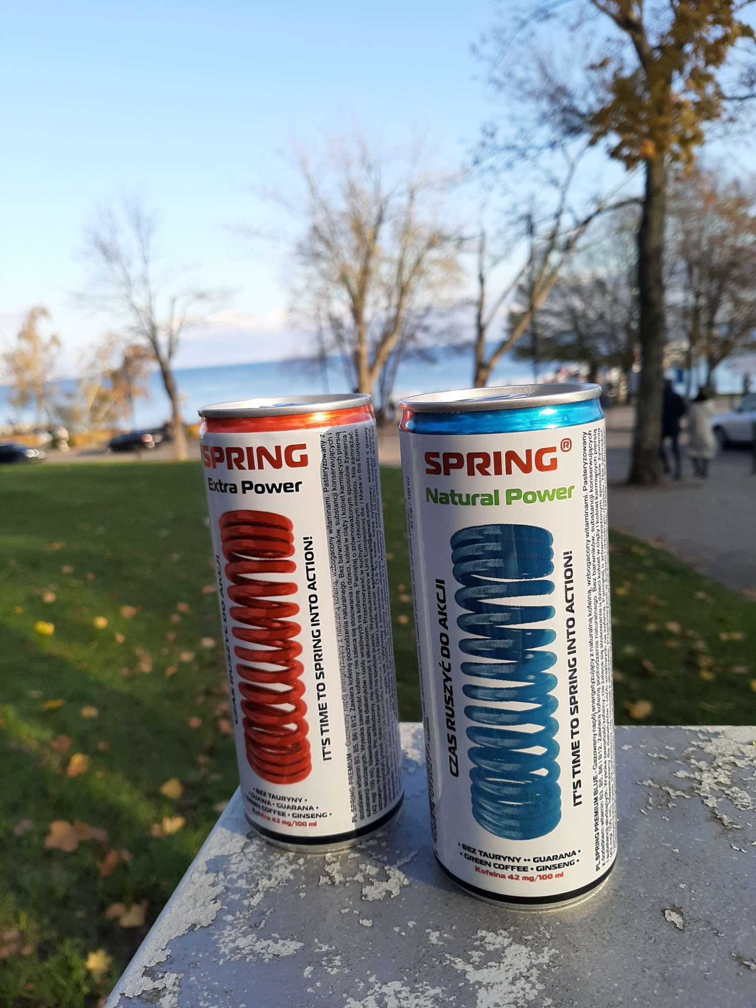 Spring Energy Drink, Gdańsk Oferta nr117596 Oferteo.pl
