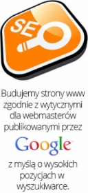 Projektowanie profesjonalnych stron www