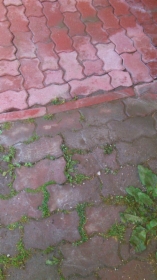 Mycie kostki brukowej