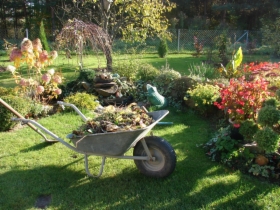 Porządkowanie i utrzymywanie porządku w ogrodzie i na terenie posesji