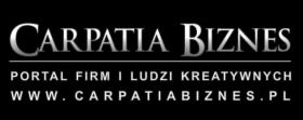 Kampanie reklamowe w portalu CarpatiaBiznes.pl