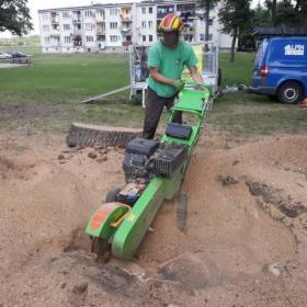 Usuwanie Karczowanie frezowanie pni