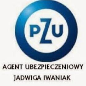Ubezpieczenia grupowe PZU Lublin