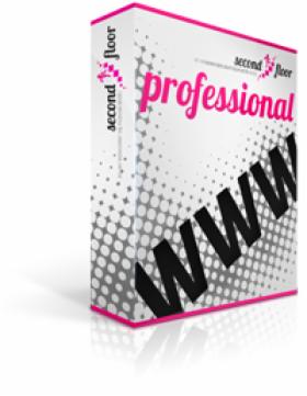 Projektowanie stron www - Pakiet Professional