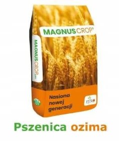 Materiał siewny 2025 Pszenica