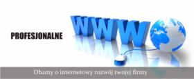 Strony WWW, portale i sklepy internetowe