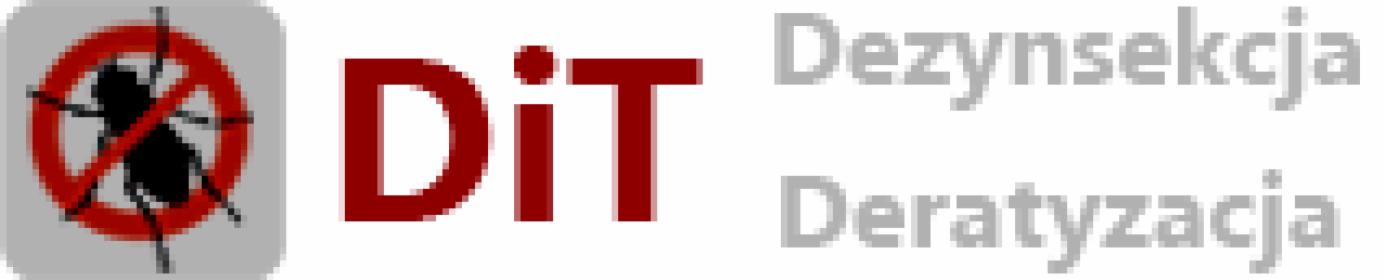 Jak pozbyć się gryzoni i szkodników Wrocław