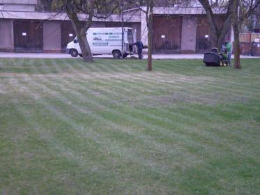 Pielęgnacja Zieleni