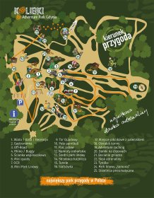 Kreatywna kolonia w Zatoce Puckiej.