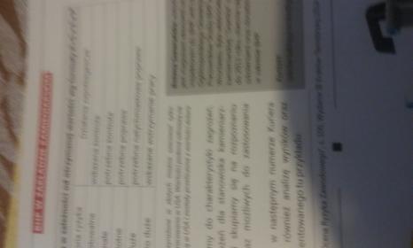 Ocena Ryzyka Zawodowego dla kamieniarza polernika