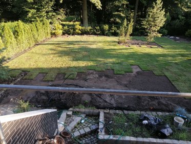 Trawnik z siewu i rolki