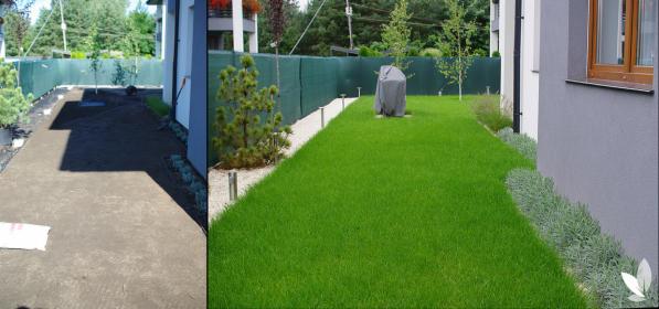 Pielęgnacja trawnika - wertykulacja, nawodnienie, renowacja, aeracja