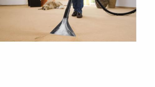 Pranie dywanów tapicerek meblowych