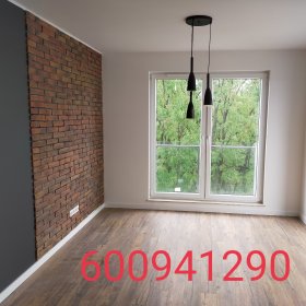 Malowanie mieszkań ,układanie paneli, drobna elektryka .