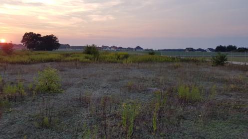 Działka budowlana Nieciszów 30 arów, w pięknym miejscu