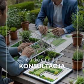 KONSULTACJA PROJEKTOWA