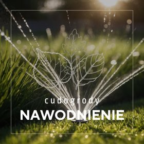 NAWODNIENIE OGRODU – PROJEKT, MONTAŻ, ODTWORZENIE TERENU, SZKOLENIE, SERWIS