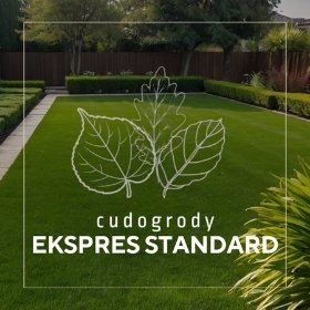 TRAWNIK – EKSPRES STANDARD