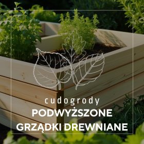 PODWYŻSZONE GRZĄDKI — KOMFORT, ESTETYKA I FUNKCJONALNOŚĆ