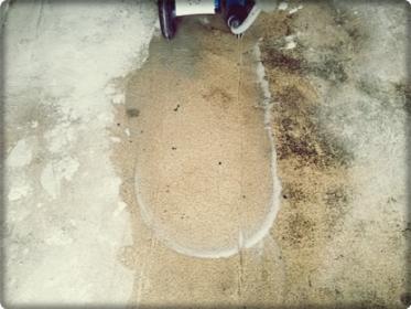 Czyszczenie posadzek, czyszczenie płytek, czyszczenie wykładzin, pranie wykładzin