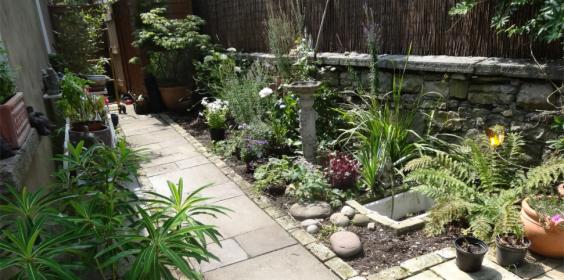 Projektowanie i realizacje ogrodów