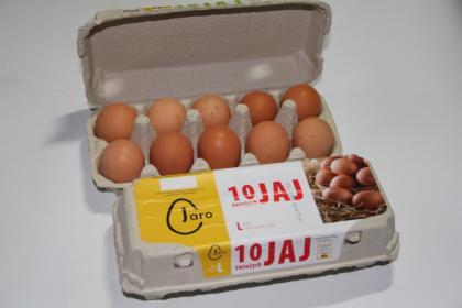 Świeże jaja pakowane po 10 szztuk