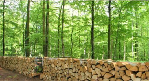 Ukraina. Drewno opalowe 15 zl/m3, zrzyny tartaczne 4 zl/m3 + wszystko z branzy drzewnej. Tanio