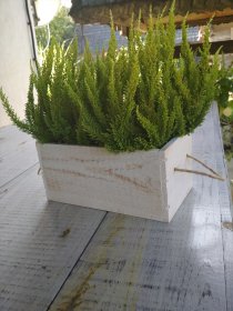 Drewniana osłonka na kwiaty ze sznurkiem